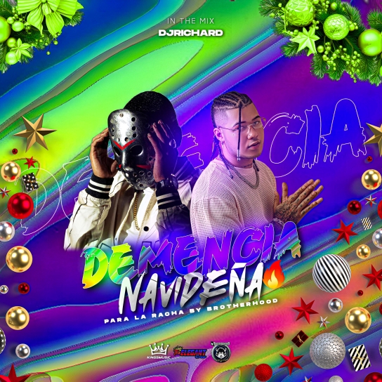 Demencia Navideña MixTape - Dj Richard-676adbaf681f7676adbaf681f8.mp3